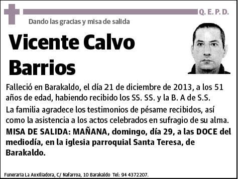 CALVO BARRIOS,VICENTE