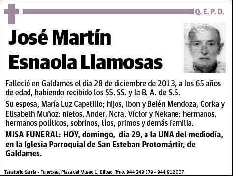 ESNAOLA LLAMOSAS,JOSE MARTIN