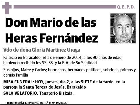 DE LAS HERAS FERNANDEZ,MARIO