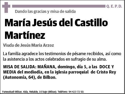 DEL CASTILLO MARTINEZ,MARIA JESUS