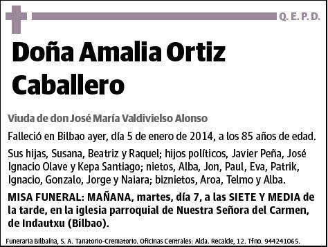 ORTIZ CABALLERO,AMALIA