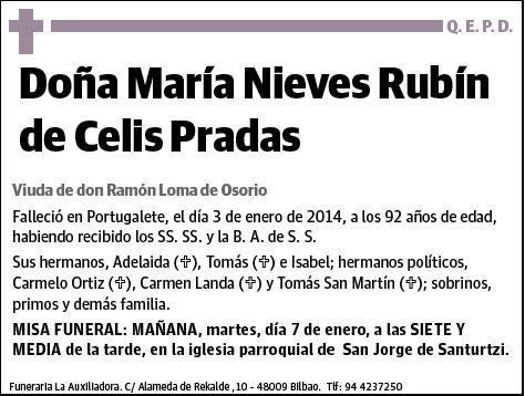 RUBIN DE CELIS PRADAS,MARIA NIEVES