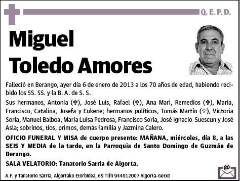 TOLEDO AMORES,MIGUEL