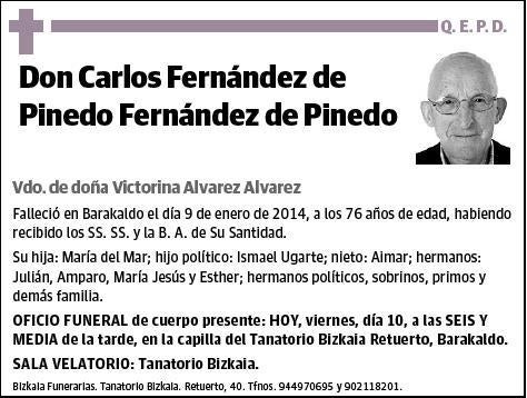 FERNANDEZ DE PINEDO FERNANDEZ DE PINEDO,CARLOS