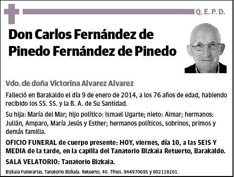 FERNANDEZ DE PINEDO FERNANDEZ DE PINEDO,CARLOS