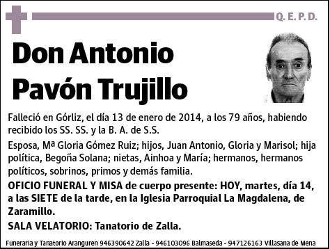 PAVON TRUJILLO,ANTONIO