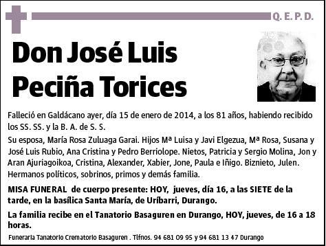 PECIÑA TORICES,JOSE LUIS