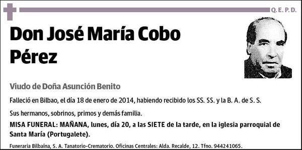 COBO PEREZ,JOSE MARIA