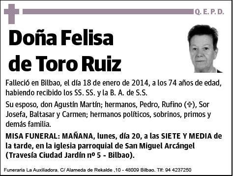 DE TORO RUIZ,FELISA