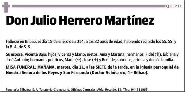 HERRERO MARTINEZ,JULIO