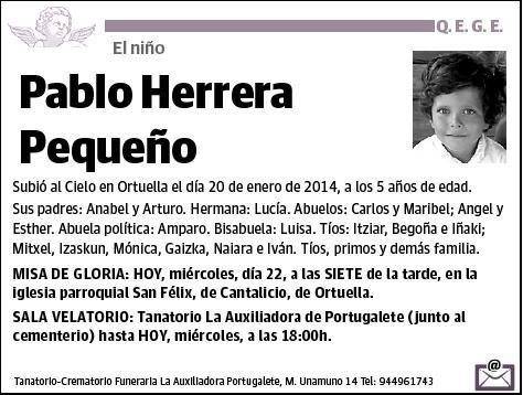 HERRERA PEQUEÑO,PABLO