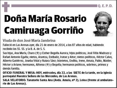 CAMIRUAGA GORRIÑO,MARIA ROSARIO