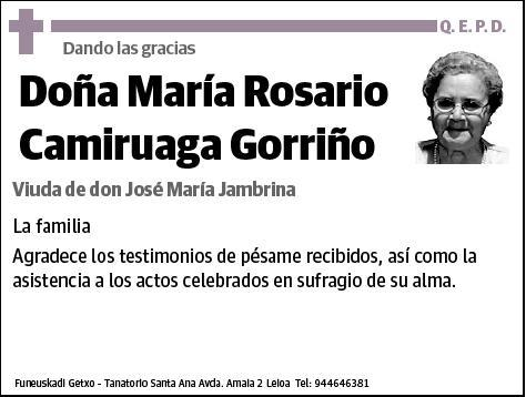 CAMIRUAGA GORRIÑO,MARIA ROSARIO