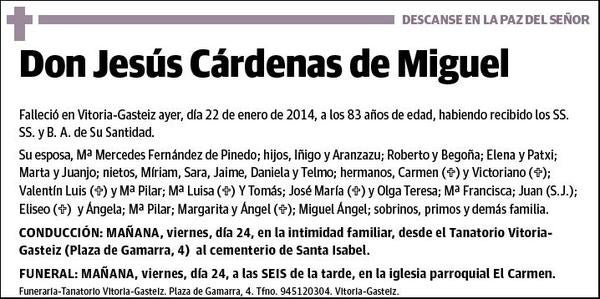 CARDENAS DE MIGUEL,JESUS