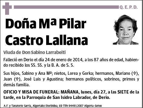 CASTRO LALLANA,Mª PILAR