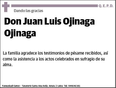 OJINAGA OJINAGA,JUAN LUIS