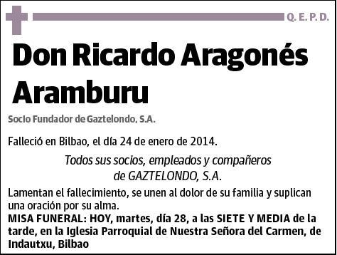 ARAGONES ARAMBURU,RICARDO