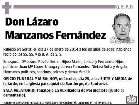 MANZANOS FERNANDEZ,LAZARO