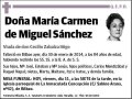 DE MIGUEL SANCHEZ,MARIA CARMEN