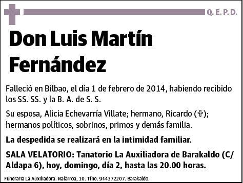 MARTIN FERNANDEZ,LUIS