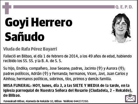 HERRERO SAÑUDO,GOYI