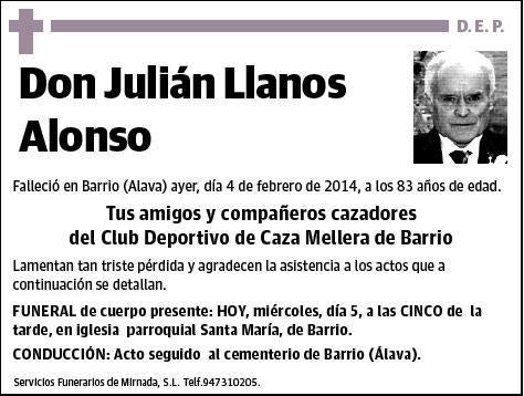 LLANOS ALONSO,JULIAN