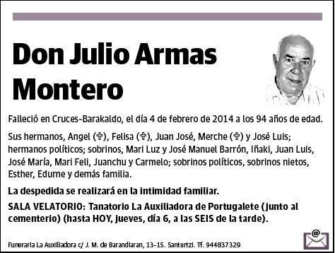 ARMAS MONTERO,JULIO