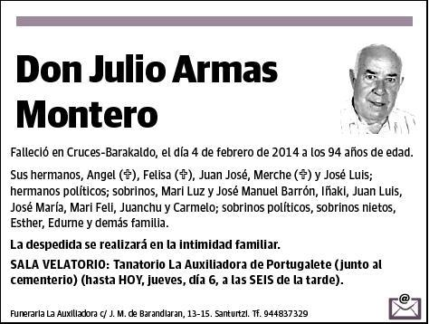 ARMAS MONTERO,JULIO