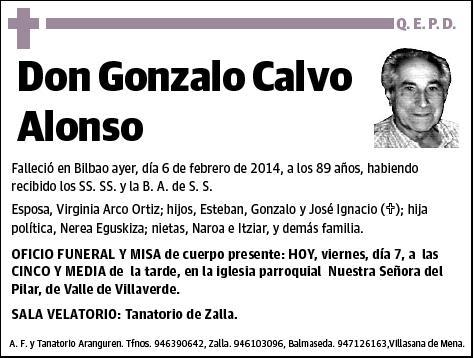 CALVO ALONSO,GONZALO