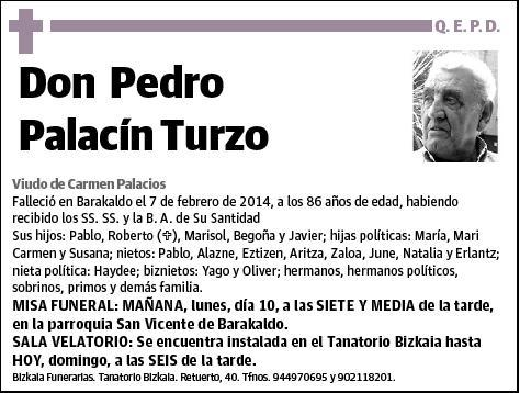 PALACIN TURZO,PEDRO