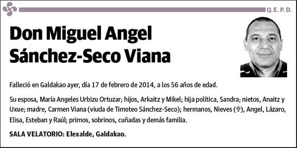 SANCHEZ-SECO VIANA,MIGUEL ANGEL