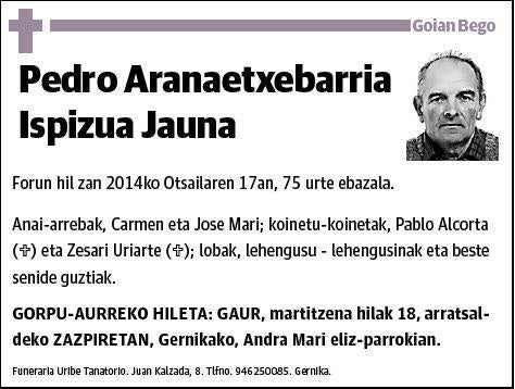 ARANAETXEBARRIA ISPIZUA,PEDRO