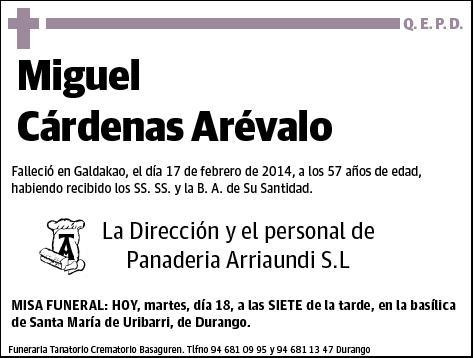 CARDENAS AREVALO,MIGUEL