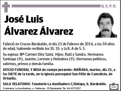 ALVAREZ ALVAREZ,JOSE LUIS