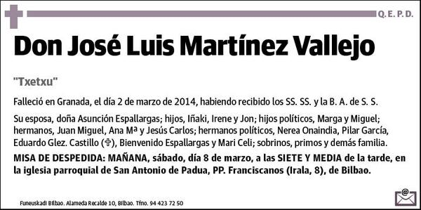 MARTINEZ VALLEJO,JOSE LUIS