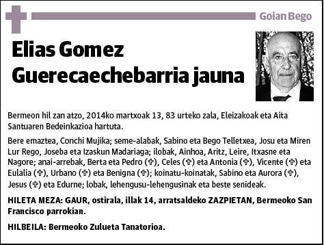 GOMEZ GUERECAECHEBARRIA,ELIAS