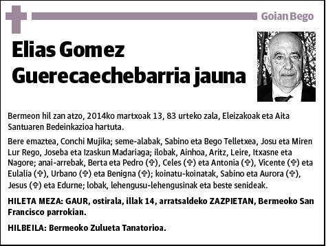 GOMEZ GUERECAECHEBARRIA,ELIAS