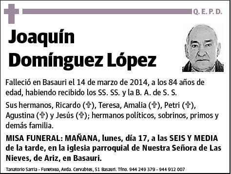 DOMINGUEZ LOPEZ,JOAQUIN