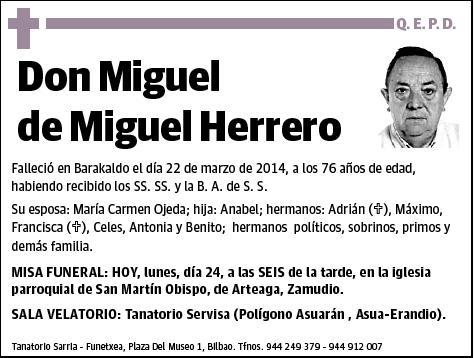 DE MIGUEL HERRERO,MIGUEL