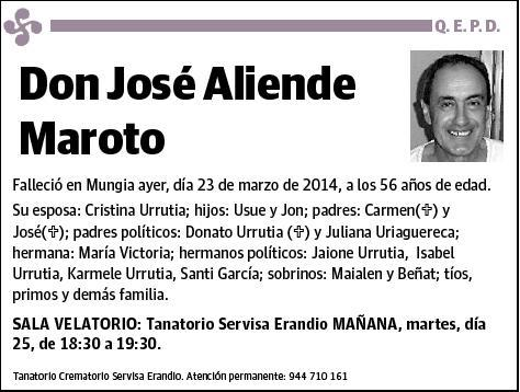 ALIENDE MAROTO,JOSE