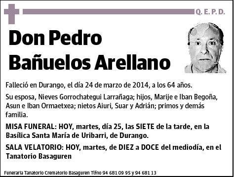 BAÑUELOS ARELLANO,PEDRO