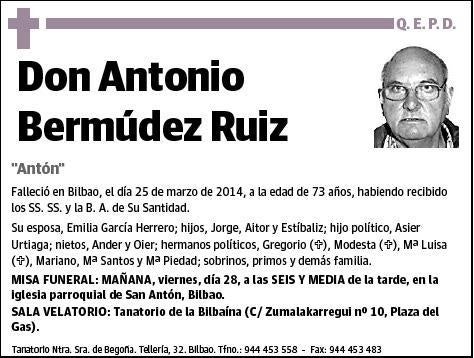 BERMUDEZ RUIZ,ANTONIO