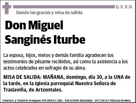 SANGINES ITURBE,MIGUEL