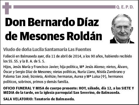 DIAZ DE MESONES ROLDAN,BERNARDO