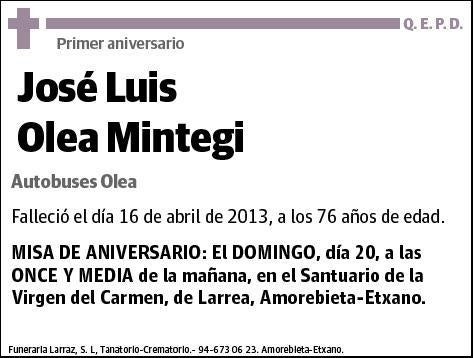 OLEA MINTEGI,JOSE LUIS