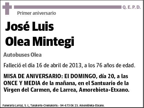 OLEA MINTEGI,JOSE LUIS