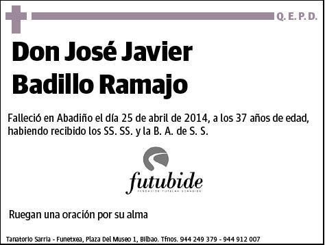 BADILLO RAMAJO,JOSE JAVIER