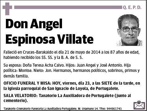 ESPINOSA VILLATE,ANGEL