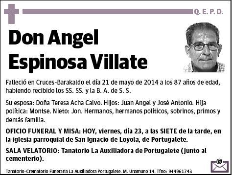 ESPINOSA VILLATE,ANGEL