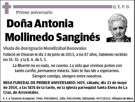 MOLLINEDO SANGINES,ANTONIA